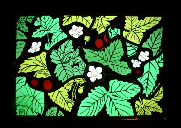 Fraises des bois