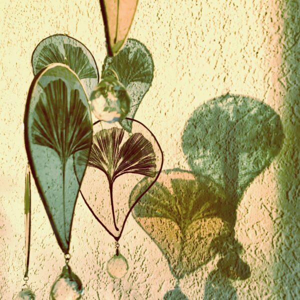 Ginkgo – Image 2