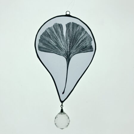 Ginkgo