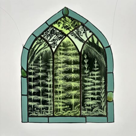 Forêt aux prêles